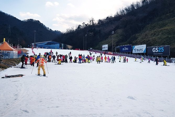 Gangchon Elysian Ski Day Trip from Seoul - A practical snow day from central Seoul