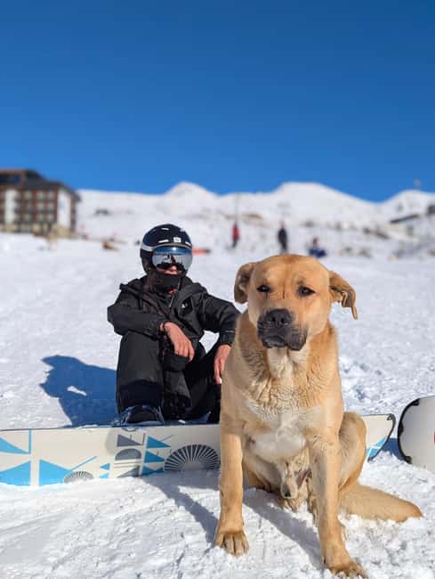 Gudauri: Snowboard/Ski Instructors - Key points to know before you book