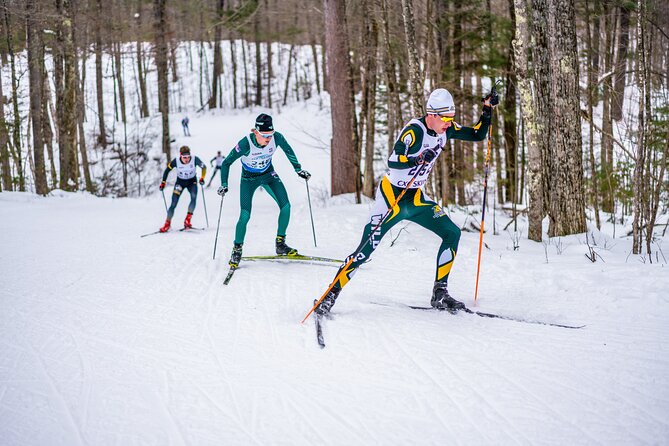 Guided Cross Country Skiing at Lake Tahoe - Shuttle Service and Winter Practicalities