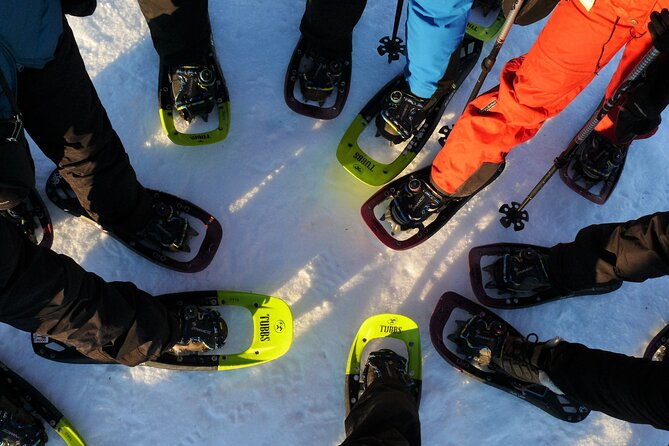 Guided easy snowshoeing with a visit to local café - Key points to know before booking