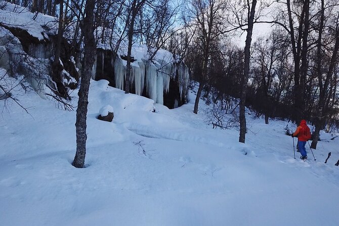 Guided easy snowshoeing with a visit to local café - Why this Tromsø snowshoe trip feels different