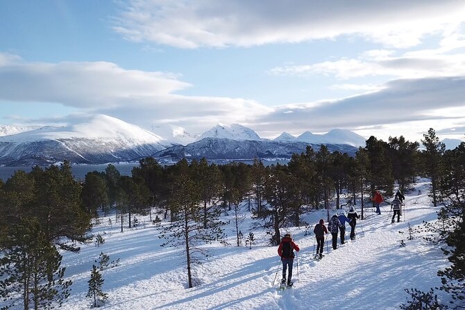 Guided easy snowshoeing with a visit to local café - Tove’s Tradisjonsmat kafé and the campfire finish