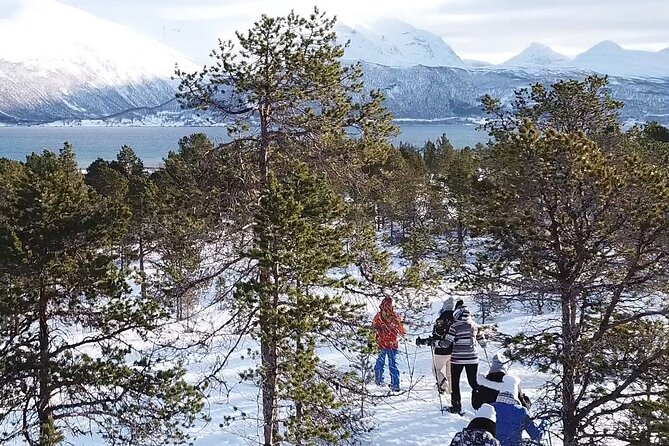 Guided easy snowshoeing with a visit to local café - Who will enjoy this four-and-a-half-hour outing