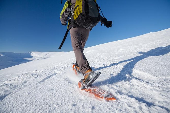 Guided Morning Snowshoe Hike with Huskies - Leaving Tromsø for Kvaløya’s winter quiet