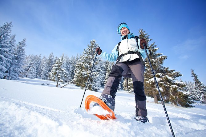 Guided Morning Snowshoe Hike with Huskies - Is $192.33 a fair price?