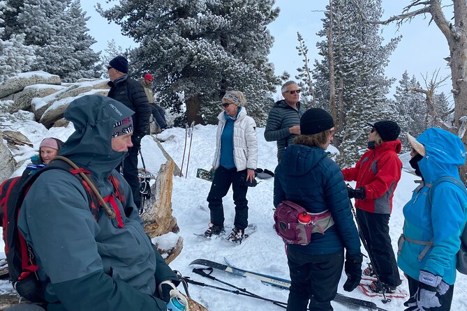 Guided Snowshoe Experience in Lake Tahoe - Equipment, snow, and the value of the price
