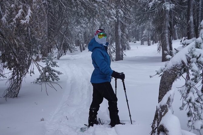 Guided Snowshoe Experience in Lake Tahoe - Who will enjoy this Lake Tahoe snowshoe walk