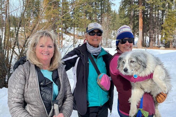 Guided Snowshoe Experience in Lake Tahoe - Following the route from the Lake Tahoe area