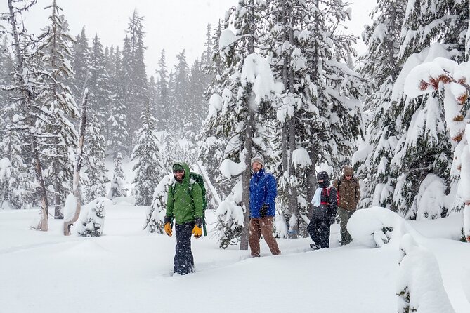 Guided Snowshoe Tour in Bend, Oregon - What the four-hour route feels like