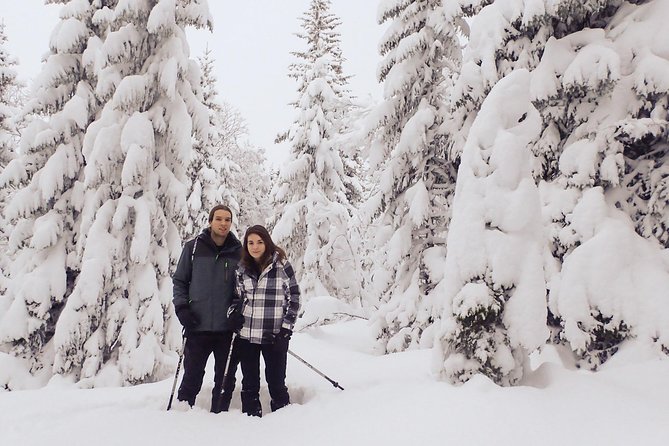 Guided Snowshoe Walk on Tromsoya Island in Tromso - Key points to know before booking