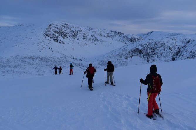 Guided Snowshoe Walk on Tromsoya Island in Tromso - How demanding is the walk?