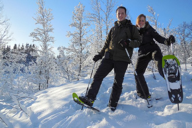 Guided Snowshoe Walk on Tromsoya Island in Tromso - Birch woods, spruce trees, and open views