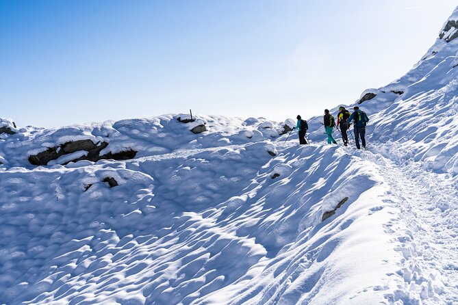 Guided Snowshoeing Day to Discover the Dolomites - Key points at a glance
