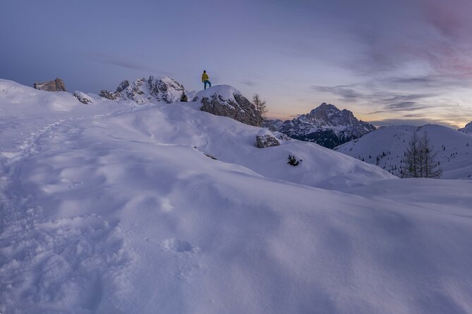 Guided Snowshoeing Day to Discover the Dolomites - Reading tracks and winter signs