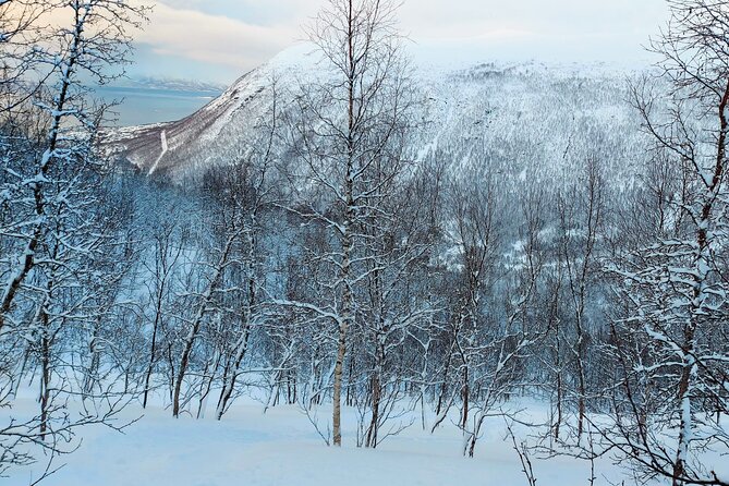 Guided Tromsdalen Snowshoe Adventure Starts Here - Key points to know before you go