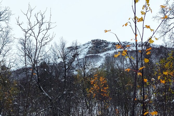 Guided Tromsdalen Snowshoe Adventure Starts Here - The break with lefse and a warm drink