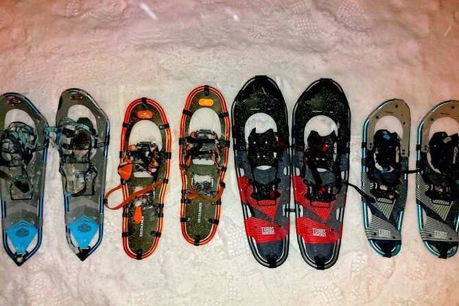 Guided Tromsdalen Snowshoe Adventure Starts Here - The value of $107.53 for two hours