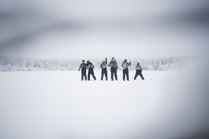 Half-Day Backcountry Skiing Tour in Levi with Photography Guide - Photography that does not interrupt the outing