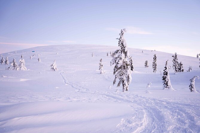 Half-Day Backcountry Skiing Tour in Levi with Photography Guide - Weather, cancellation, and what to wear