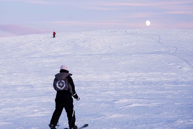 Half-Day Backcountry Skiing Tour in Levi with Photography Guide - Skiing through Levi’s Arctic nature