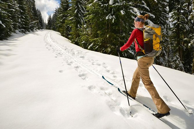 Half-Day Guided Backcountry Ski Touring Experience near Incline Village - Key points to know before you book