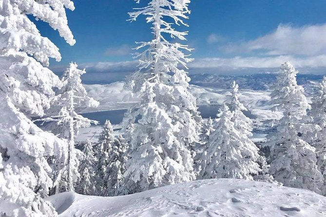 Half-Day Guided Backcountry Ski Touring Experience near Incline Village - Choosing between cross-country and downhill touring skis