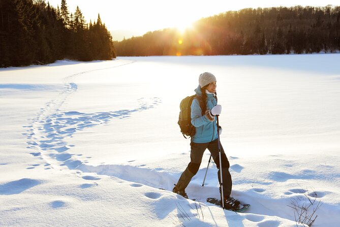 Half Day Guided Snowshoe Tour Near Breckenridge - Key points to know before you book