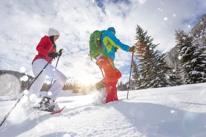 Half Day Guided Snowshoe Tour Near Breckenridge - The value of $99