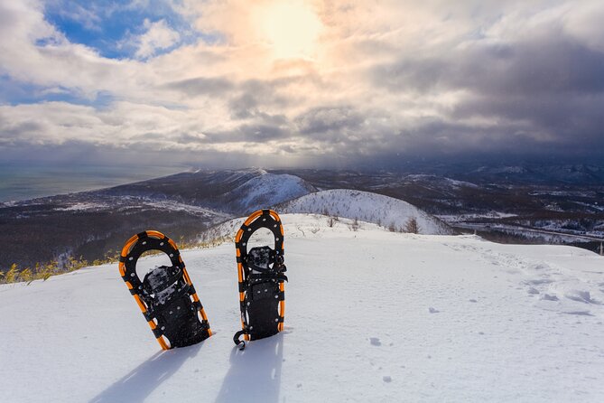 Half Day Guided Snowshoe Tour Near Breckenridge - Salt Lick Trail on Tuesdays