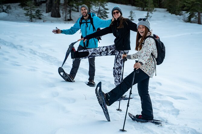 Half Day Snowshoe Hike in Tahoe National Forest - A quiet start away from the resort crowds