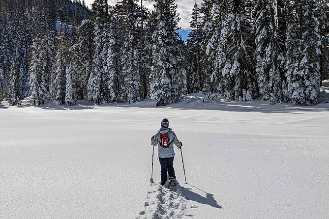 Half Day Snowshoe Hike in Tahoe National Forest - The climb to Pauly’s Point