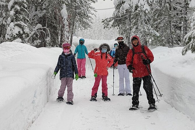 Half Day Snowshoe Hike in Tahoe National Forest - Pauly’s Point and the Sierra Crest views