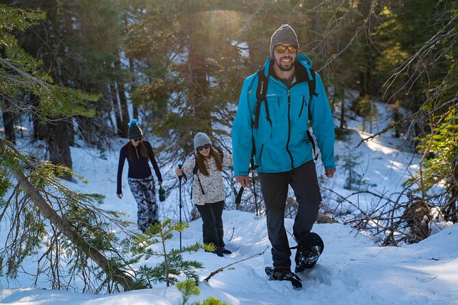 Half Day Snowshoe Hike in Tahoe National Forest - The loop through snowy meadows