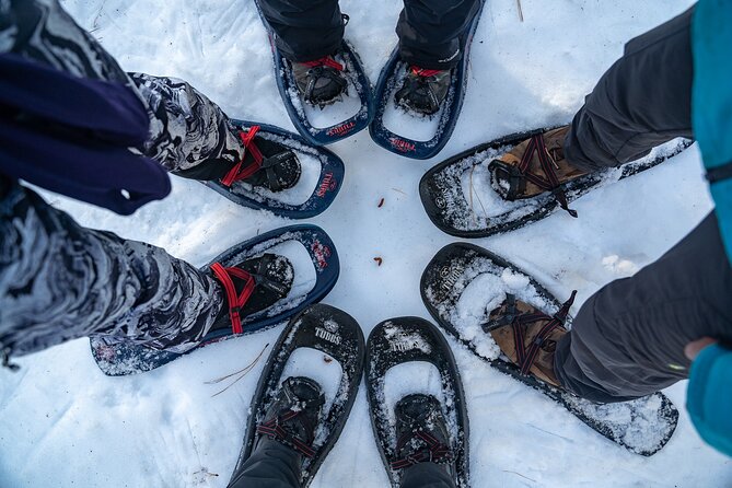 Half Day Snowshoe Hike in Tahoe National Forest - Guides, local stories, and the human touch
