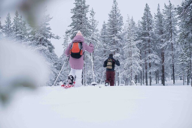 Half Day Snowshoe Hiking Adventure in Levi Lapland - Photography adds value to a winter outing