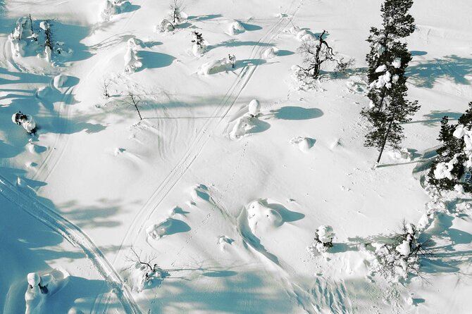 Half Day Snowshoe Hiking Adventure in Levi Lapland - Why the small group matters