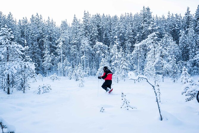 Half Day Snowshoe Hiking Adventure in Levi Lapland - Who should book this snowshoe trip?