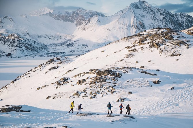 Half Day Snowshoe Tour - A guided climb with views as the reward