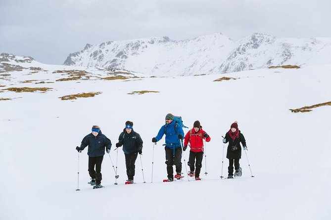 Half Day Snowshoe Tour - Why the small group matters
