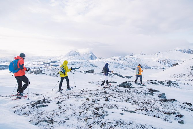 Half Day Snowshoe Tour - How poor weather can change the day