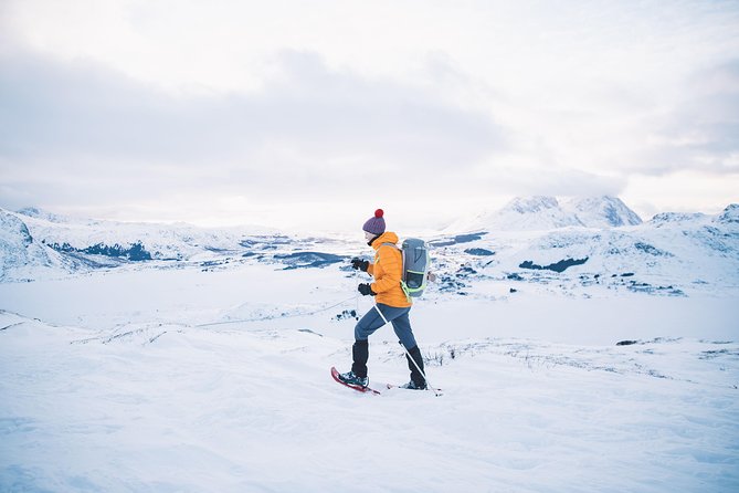 Half Day Snowshoe Tour - Is $105.13 good value?