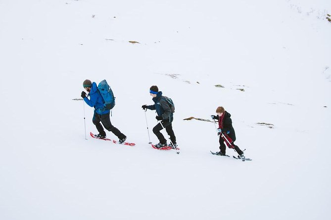 Half Day Snowshoe Tour - Who will enjoy this four-hour outing