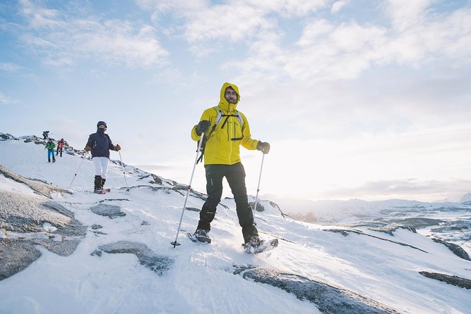 Half Day Snowshoe Tour - Learning to move through Lofoten snow