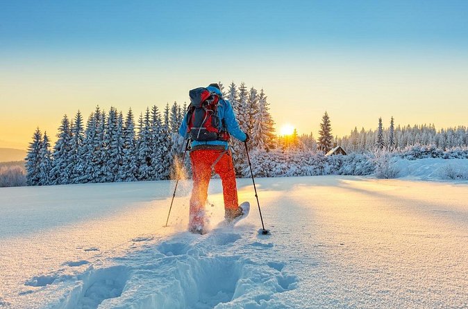 Half-Day Snowshoe Trip from Prague - Reaching the Ještěd Tower and restaurant