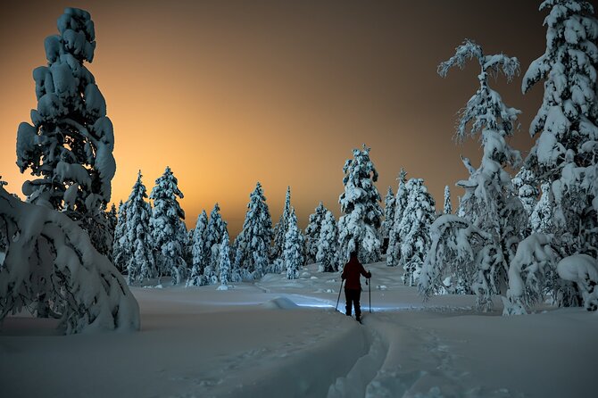 Half-Day Snowshoe Trip from Prague - The final half-hour by headlamp