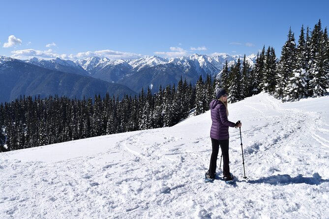 Hurricane Ridge Guided Snowshoe Tour in Olympic National Park - Why Hurricane Ridge works so well for a snow day