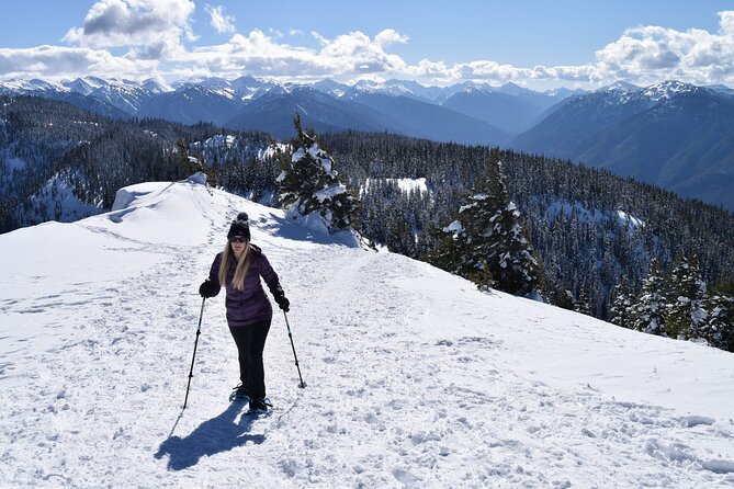 Hurricane Ridge Guided Snowshoe Tour in Olympic National Park - The midpoint picnic and return to the bus