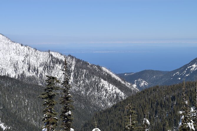 Hurricane Ridge Guided Snowshoe Tour in Olympic National Park - What the $190 price really covers