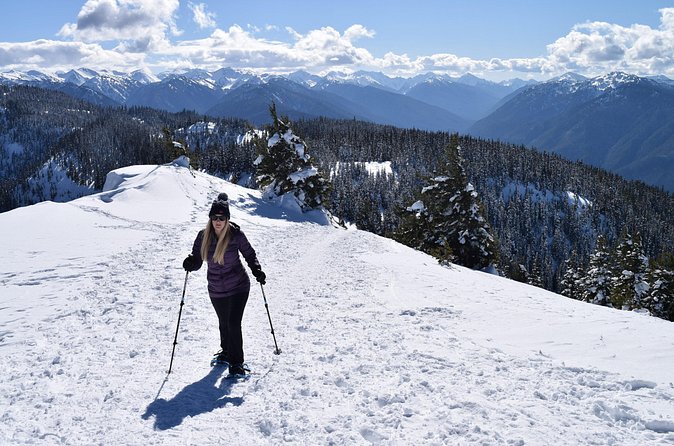 Hurricane Ridge Guided Snowshoe Tour in Olympic National Park - The beginner question: can you handle it?