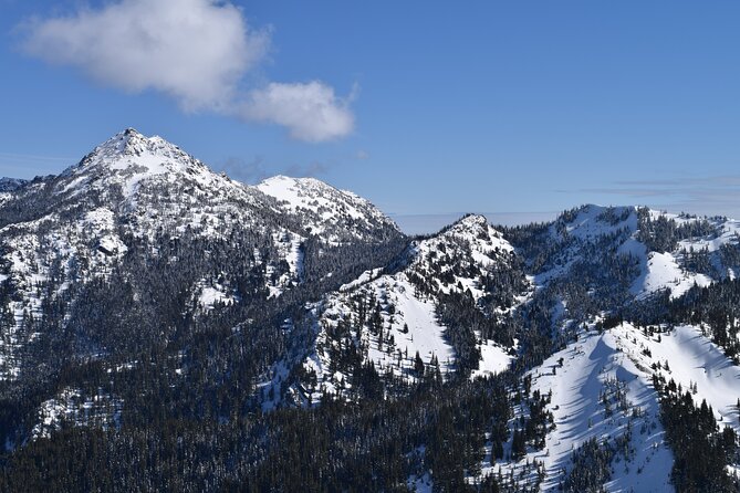 Hurricane Ridge Guided Snowshoe Tour in Olympic National Park - Why the small group matters